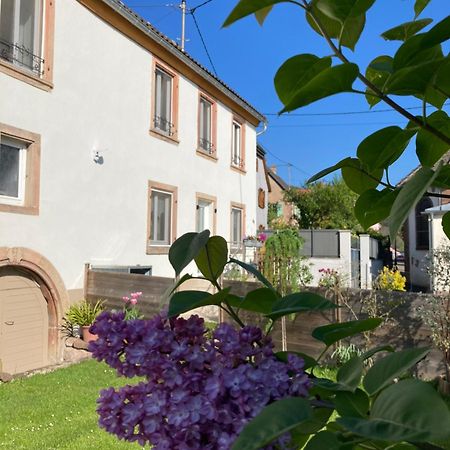 Gite Le 1602 Saint-Nabor エクステリア 写真