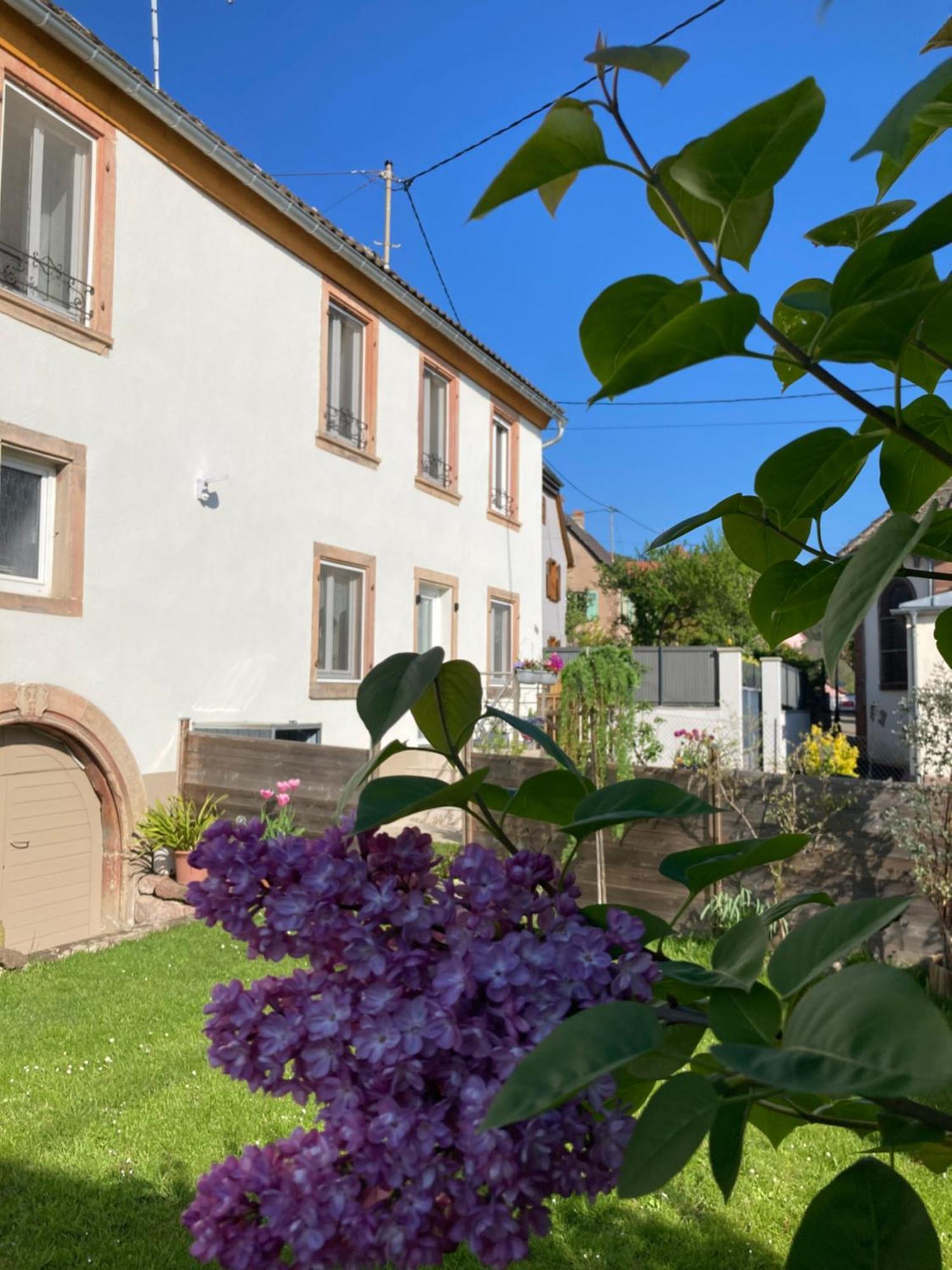 Gite Le 1602 Saint-Nabor エクステリア 写真