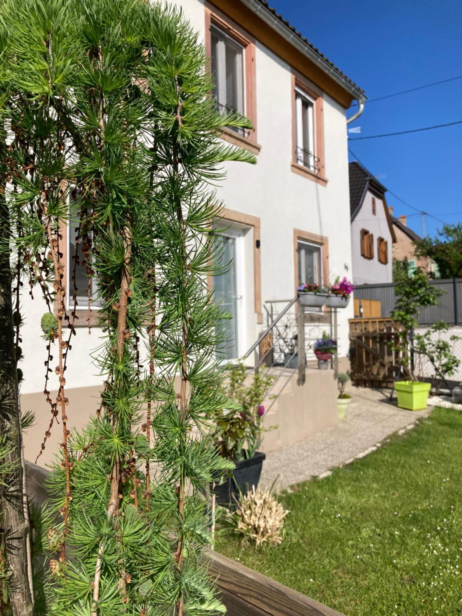 Gite Le 1602 Saint-Nabor エクステリア 写真